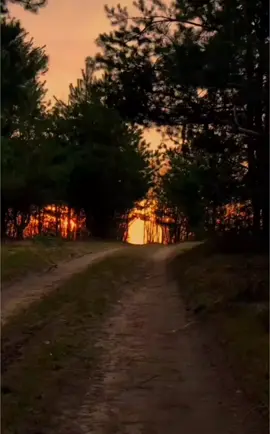 twilight vibes aesthetic Twilight vibes   nature tcalm₩ #darkaesthetic #naturephotography #foryou #relax ¥aesthetic #قدس_الله_سره_الشريف  #محمدصادق_الصدرونجليه_الطاهرين 