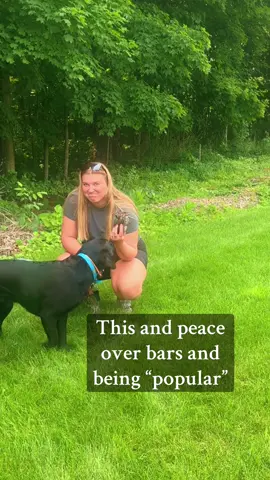 This may or may not have been a headshot #dogsoftiktok #hunting #relatable #duckdog #fypシ 