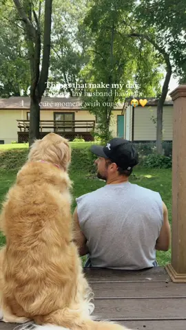 My Shayla’s 😭😭😭 #goldenretriever #goldenretrieverlife #goldenretrievers #goldens #dogmoments  #goldensoftiktok #goldenretrieverlife #goldenretrieverpuppy 🐾