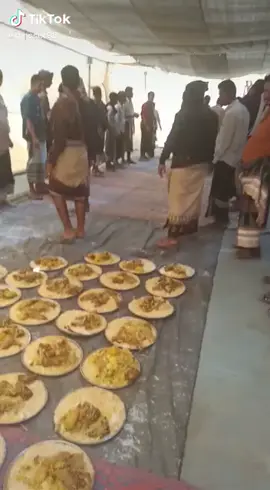 ماشفته 