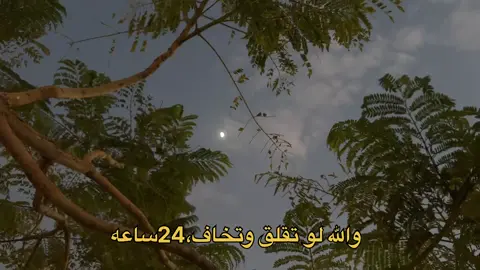 #اكسبلور #اكسبلور #اكسبلور #اكسبلور #بودكاست #اكسبلور #بودكاست #اكسبلور #الشعب_الصيني_ماله_حل😂😂 #الشعب_الصيني_ماله_حل😂😂 #الشعب_الصيني_ماله_حل😂😂 #الشعب_الصيني_ماله_حل😂😂 