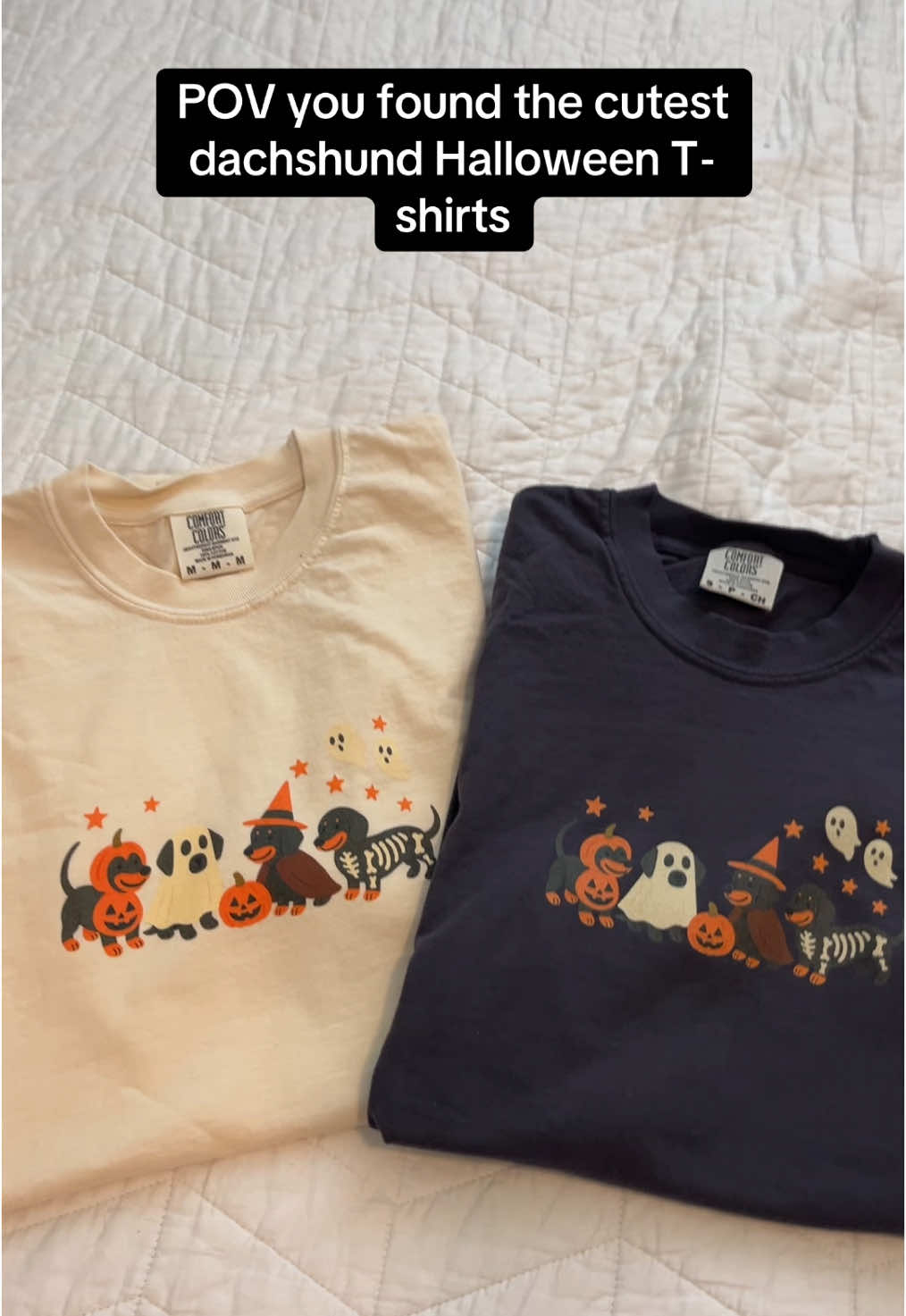 Click the link to find the cutest comfort colors dachshund halloween t shirts and sweatshirts 🎃👻 #dachshund #dachshundsoftiktok #halloween #halloween2025 #tshirt #tiktokshop #tiktok #dog #doglover #comfortcolors #falldealsforyou #fall 