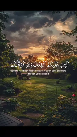 #quran #قرآن #fyp #foryoupage❤️❤️ #fypシ゚ 