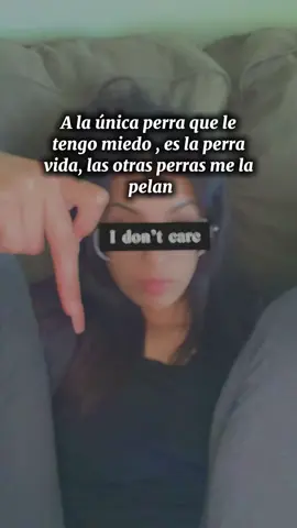 Las perras son para los perros sucios 🤣💯  #CapCut #mariaa2293 #wendyortiz 
