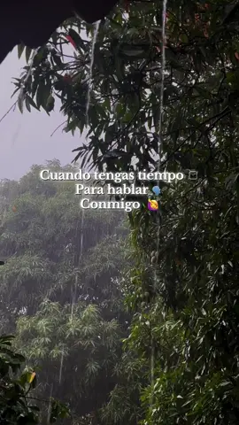 #loszuletas #nollores #tuya #vallenatosviejos #vallenatosabroso 