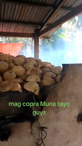 #tiktokviral  #buhayprobinsya 