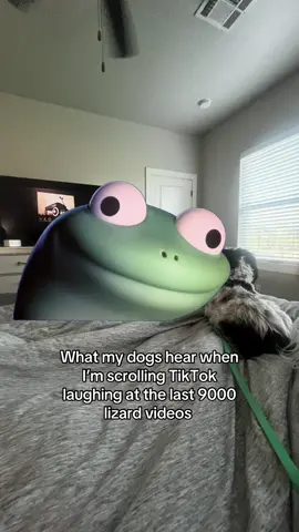 Why am I like this? They’re so funny though. 