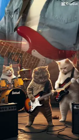 #paratiiiiiiiiiiiiiiiiiiiiiiiiiiiiiii #parati #fyp #latinosenusa🇺🇸 #Recuerdos #gatostiktok #rock 