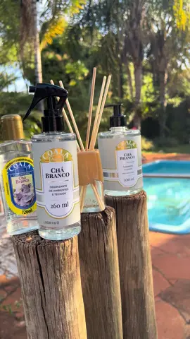 Kit Coala Chá Branco 🐨 Maravilhoso  #coala#kitcoalahomechábranco#coalachabranco#foryou#