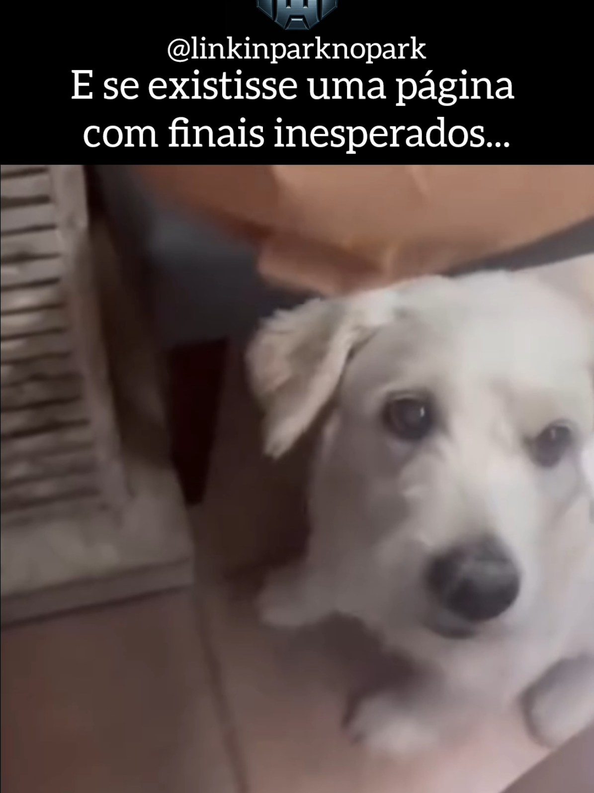 o coitado do cachorro kkk #transformers #linkinpark #final #inesperado #lol #meme #video 