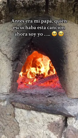 somos humildes juguetes del destino 🥺🥹#losherrantesdechuquibamba #papa #cancion #recuerdos #ancashinadecorazon❤️🇵🇪❤️ #tristeza 