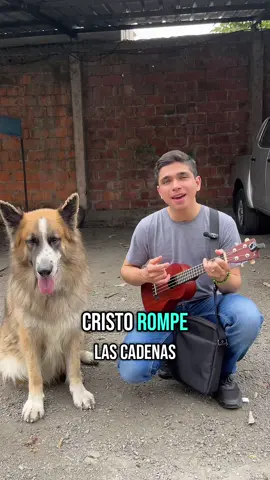 Pero a medianoche, orando Pablo y Silas, cantaban himnos a Dios; y los presos los oían. Entonces sobrevino de repente un gran terremoto, de tal manera que los cimientos de la cárcel se sacudían; y al instante se abrieron todas las puertas, y las cadenas de todos se soltaron. Hechos 16:25-26 #paratii #fyp #jeyner_music #jovenescristianos #diosteama #alabanzas #coritos #ukelele #iglesia #orar 