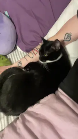 #freya 
