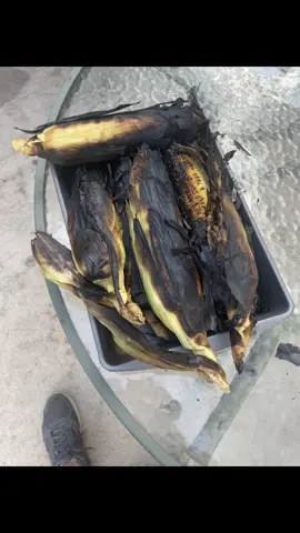 #domingo#familia♡♡♡ #elotes🌽 #maizblanco🇲🇽🤤🇺🇸#foryou