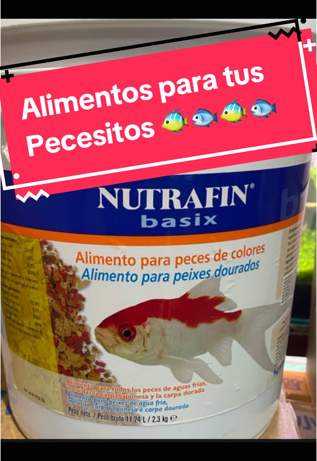 Alimentos para cualquier tipo de pez🐠🐟🐠🐟🐠🐟🐠🐡 En acuario bardales te lo tenemos al mejor precio del mercado, ideales para tus pecesito 🥹 o para tu emprendimiento 💪🏻😏 #peceslima #acuariosperu #alimentosparapeces #tortugasacuaticas #nutrafinalimento #alimentoskoi #alimentostropical 