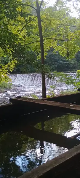 Who's ready for fall vibes?!?!? I'm all for boycotting the dog days. ⏩  mode activated 😂 What's your yearly tradition to bring in the fall? 🍁  #trend  #fallvibes #viral #nature  #waterfall 