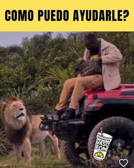 Hablen ?