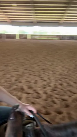 Nothing like a peaceful ride ☀️ #horses #horsesoftiktok #horsetok #foryou