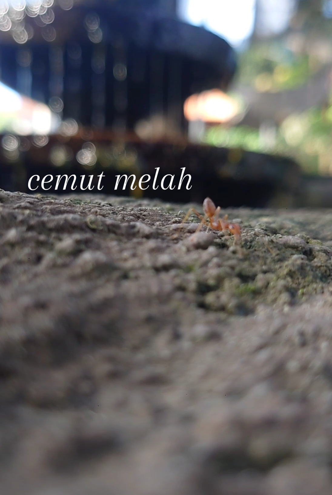 Membalas @cory_paulina  #kostan #bali #kostlife #fypシ゚ #morningvibes #asmr #jepun #viral #nofilter #nosound 
