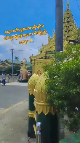 အရှင်ဘုရားတပည့်တော်မအပေါ်မေတ္တာအတုအယောင်ပေးသောသူများနှင့်ကင်းဝေးပါစေ🙏 ဘုရားတပည့်တော်မ ချစ်ခင်ရသောသူများအေးချမ်းပျော်ရွှင်ကြပါစေ🙏#ဇလွန်ပြည်တော်ပြန်ဘုရား #tiktokviral #fypage #everyone 