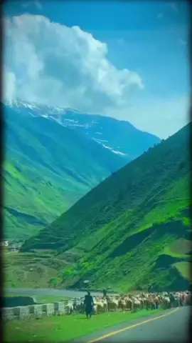 #CapCut 