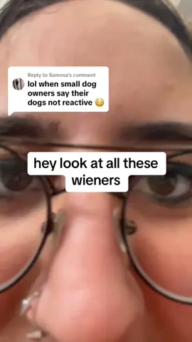 Half a dog tall,two dogs long——dachshund #dogsoftiktok #funnydog #fyp #dachshund #wienerdog 