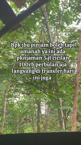 #pinjamanonline #