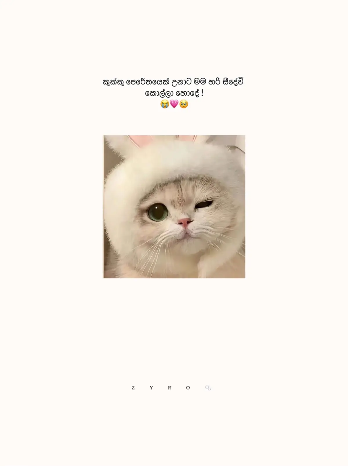 #foryou #fypage #viral #fyviral #trinding #zyro #babuzpage 
