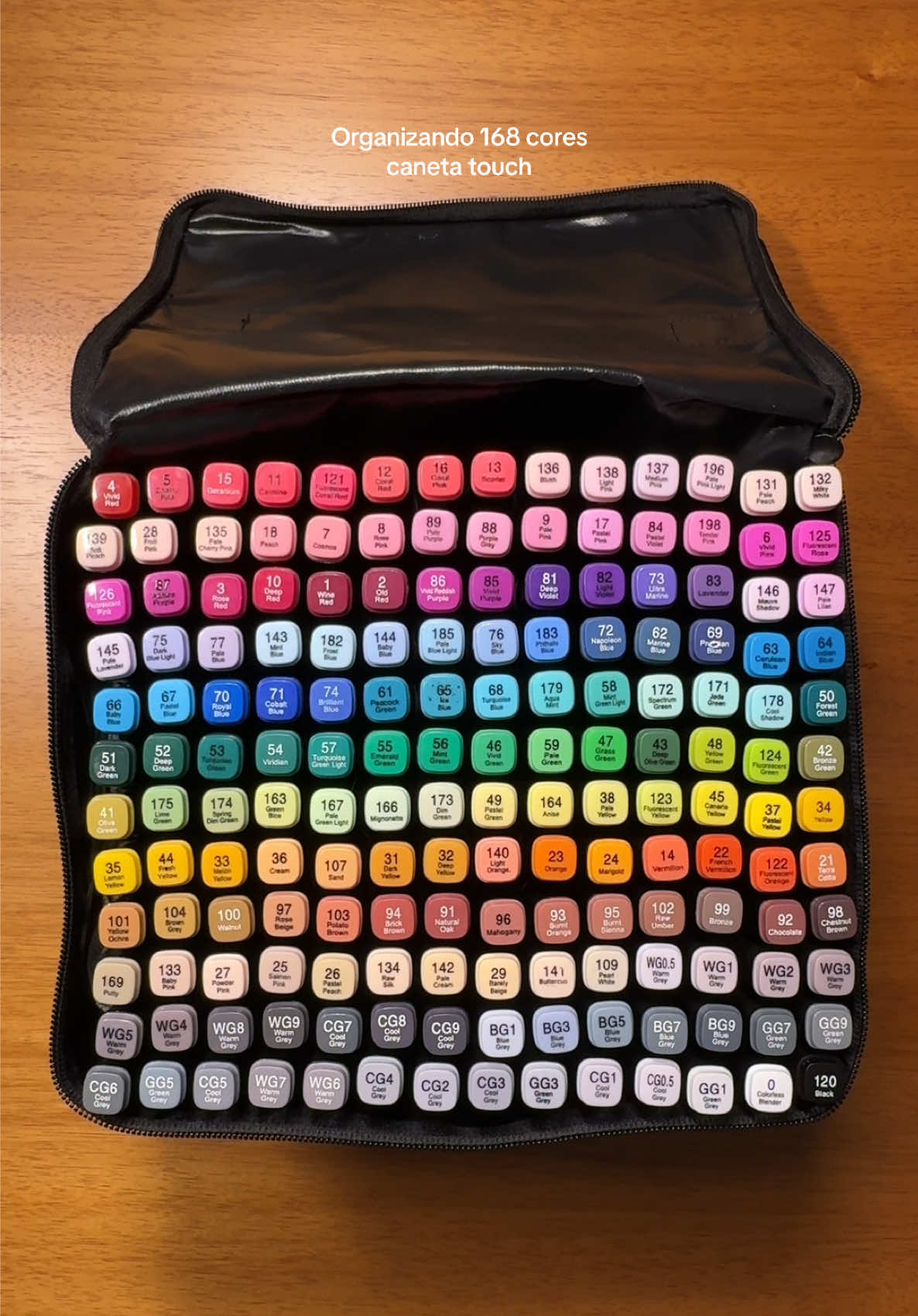 Organizando por cor minhas canetas touch! 168 cores! 🌈✨✍🏻#canetatouch #marcadores #bobbiegoods #organização #canetas #colorir #168 