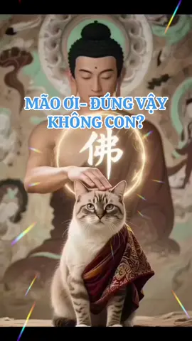 Mão ơi:” Có đúng vậy không con? #tuoimao #12congiap #phongthuy12congiap #tamlinh #tuvi 