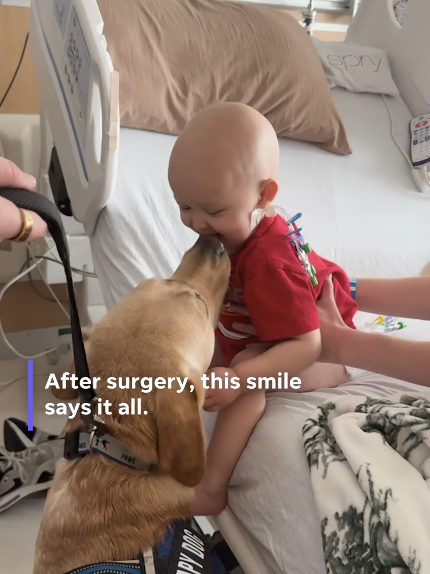 This toddler hadn't smiled in weeks...until this special guest walked in the hospital room. #usatodaypets @asherbrave #hopecore #goodnews #kindcore #pediatrics #livercancer #childhoodcancer #childhoodcancerawareness