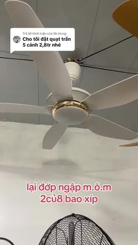 Trả lời @Mr.Hung ô sờ kê #vuaquat 