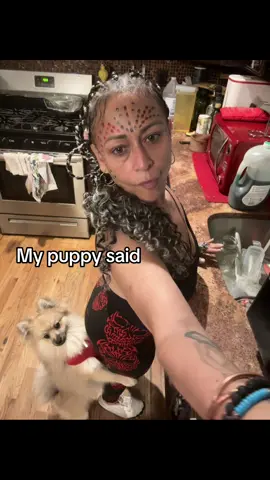 #fypシ #furbabies 