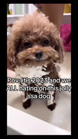 Dog this ts sweet #dog #funny #smiling #viral #hating