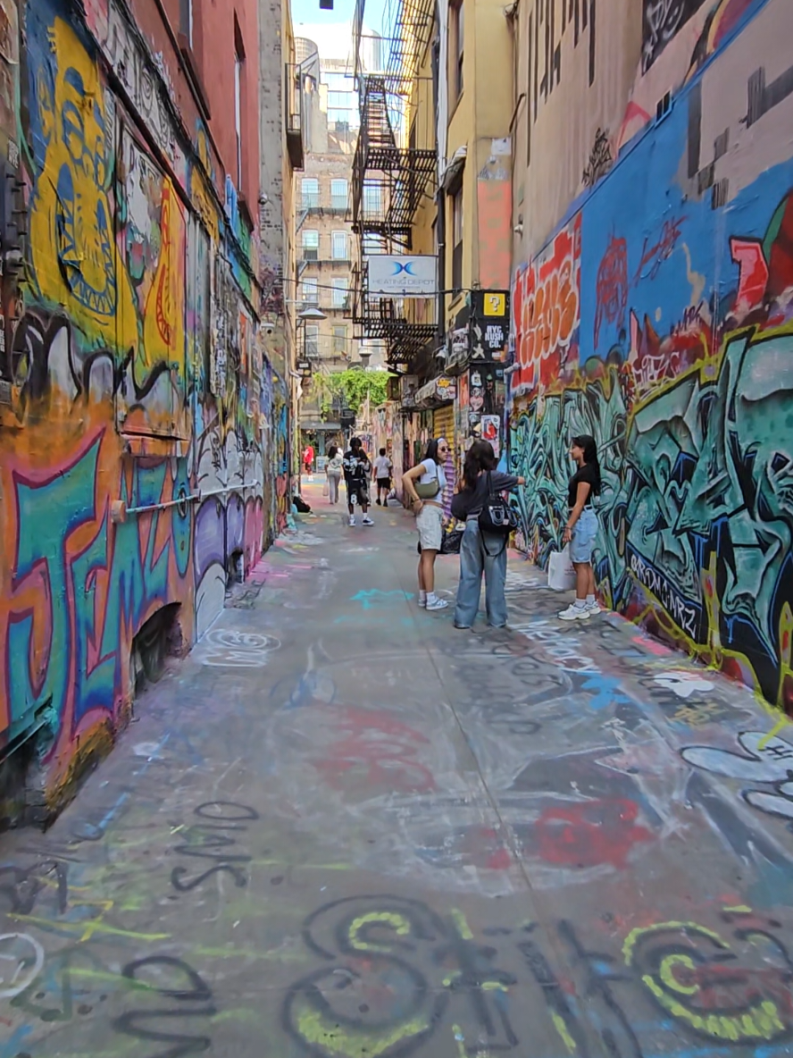 Walking through Freeman Alley feels like stepping into a live art installation. Graffiti, wheatpaste posters, tags, stickers, all layered over years, like paint on a canvas that never dries. It’s messy. It’s honest. It’s beautiful in a way only New York could be. Blink and you’ll miss it… but pause, and you’ll find color in every corner. An alleyway gallery with no rules, no entry fee, and endless character. #StreetArtNYC #FreemanAlley #NYCHiddenGems #EastVillageArt #VisualPoetry #GraffitiWall #urbanexplorer 