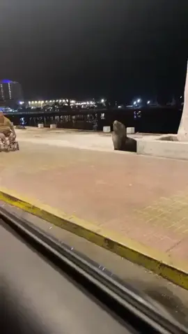 🦦😂