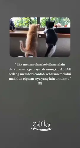 #assalamualaikum  #fouryou 