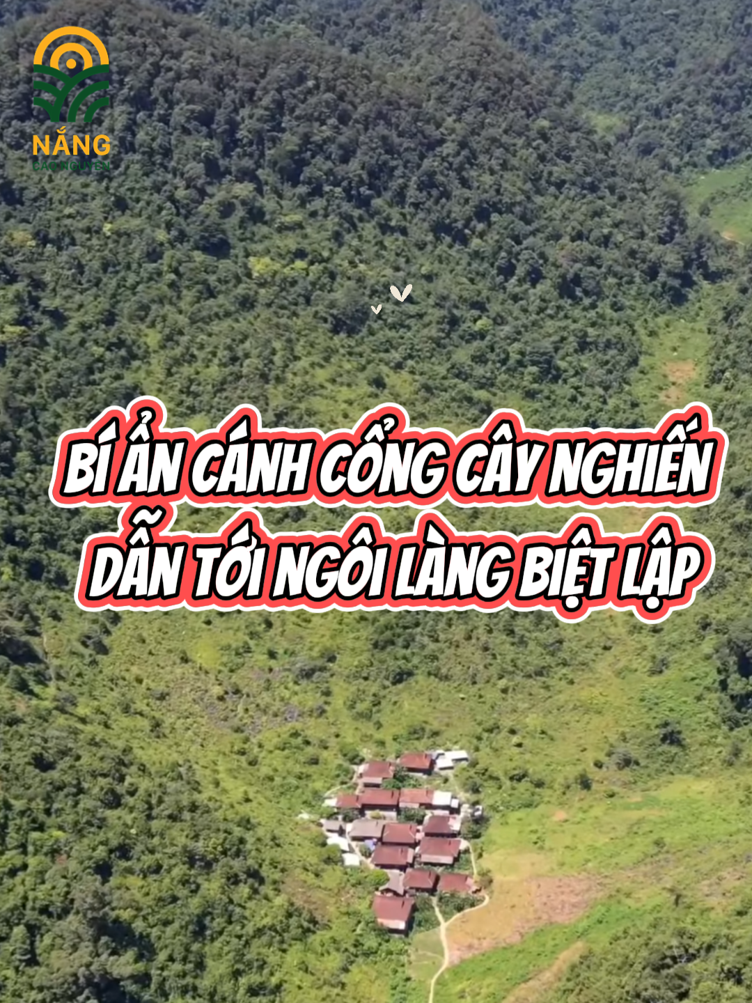 Bí ẩn cánh cổng cây nghiến dẫn tới ngôi làng biệt lập ------------------------ #LangBietLap #CayNghien #KhamPhaVungCao #RungNuiVietNam #ChuyenVungCao #VeDepTayBac #nangcaonguyen