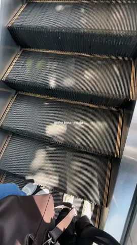 #CapCut 