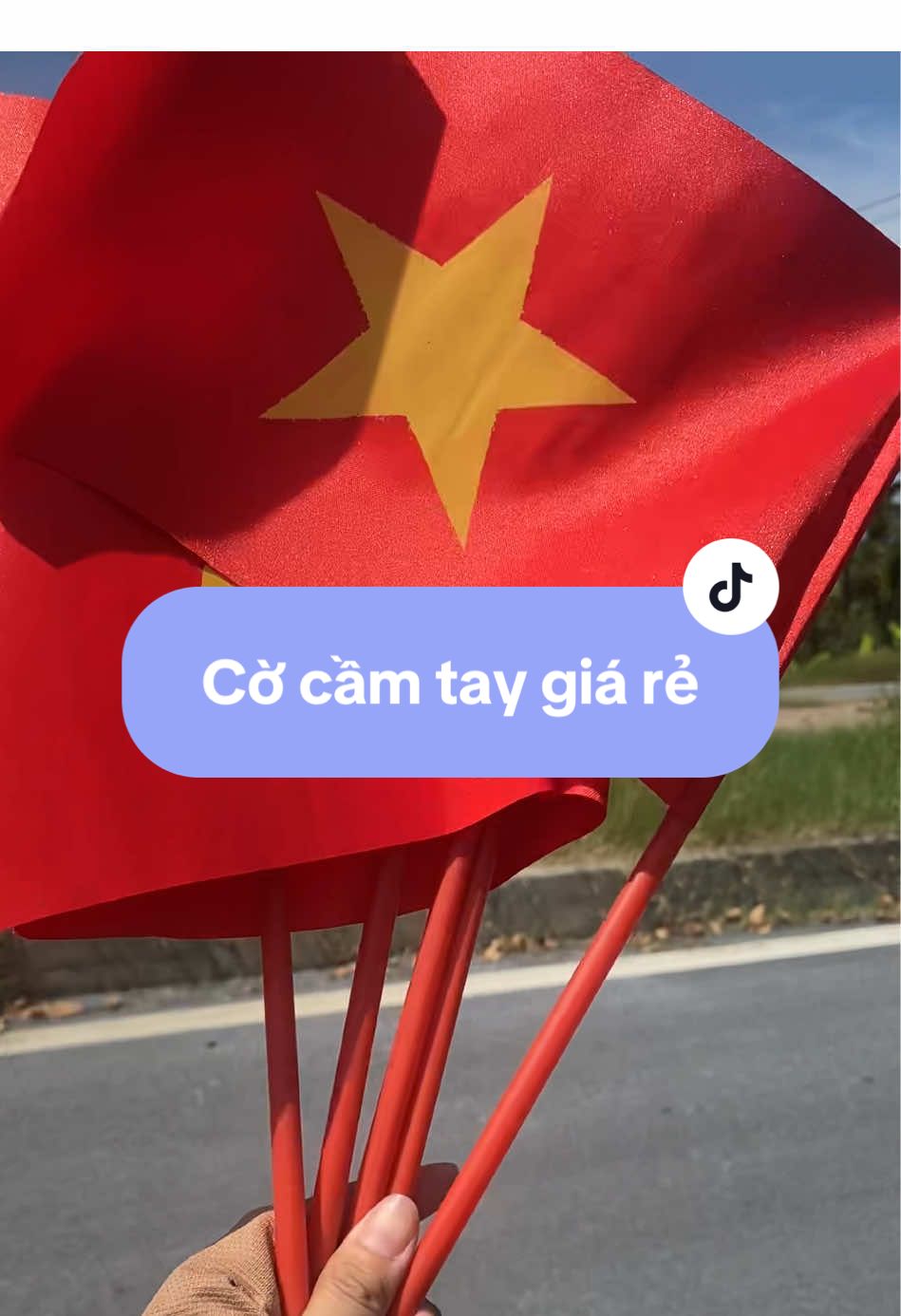 Lá cờ tổ quốc cầm tay 2-9  @Thảo Thích Trắng #codosaovang #trend #co #quockhanh #quockhanh2025 #yeunuoc #vietnam 