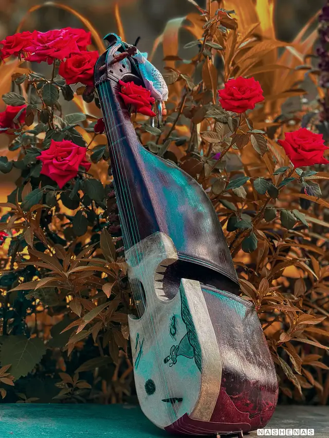 #Rabab🪕 #foryou #foryoupage #HD #picture #today #viraltiktok 