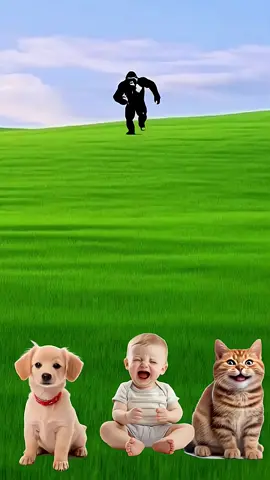 white color cute cat baby and dog