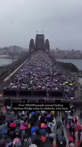 Thank you #sydney for your voice for Gaza