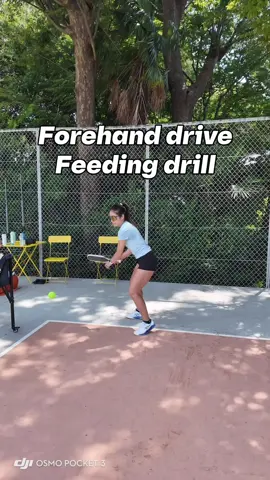 Bài tập phát bóng forehand drive Các cô gái chơi pickleball, cùng cố gắng nhé! #pickleball #pickleballvn #pickleballtraining #pickleballvietnam #VợChồngNgườiNhật #vợchồngchơipickleball 