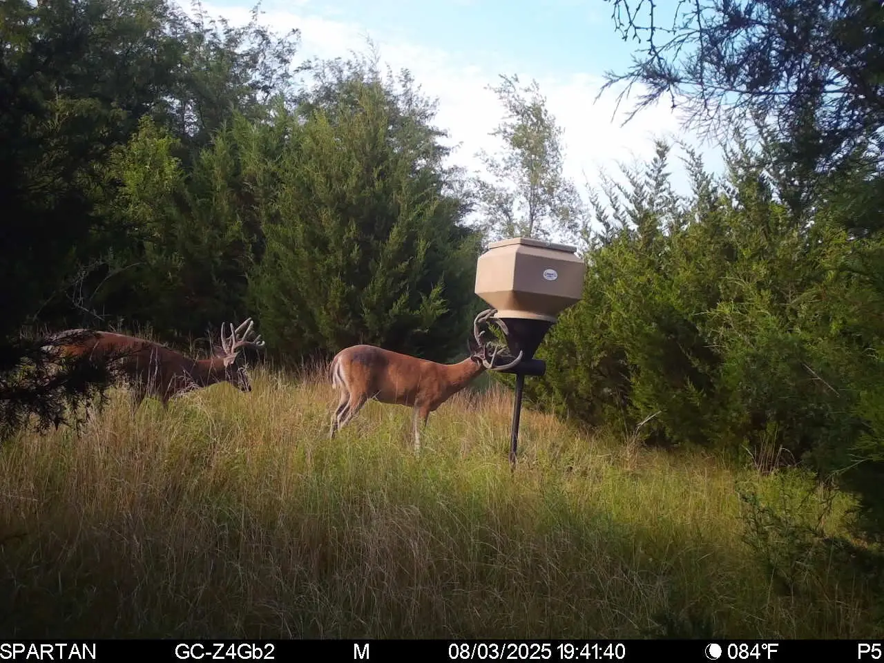 put 6000lbs of feed  in two countys in ks this week wait to see what we got hope every one luck this season ..