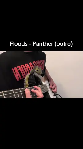 pinch hormonic at the end!! #pantera #dimebagdarrell #guitar 