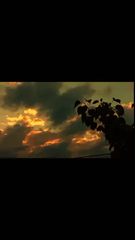 وہ سمجھ ہی نہ پایا میرے لفظوں کی گہرائی میں نے وہ ہر لفظ لکھ دیا جس کا مطلب تھا 