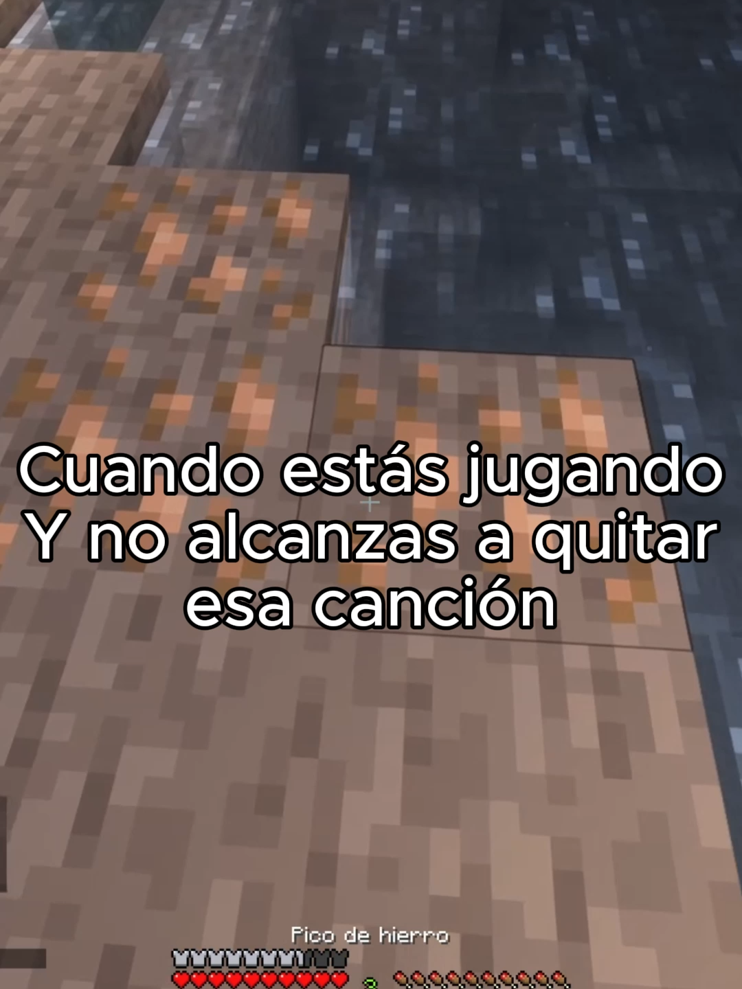 #paratii #Minecraft #humor #meme #music #perdon