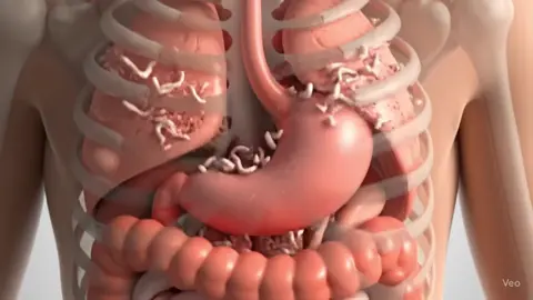 what happens to internal organs 😱😱😱😱  #3d #animation #digestivesystem #body_organs #viral 