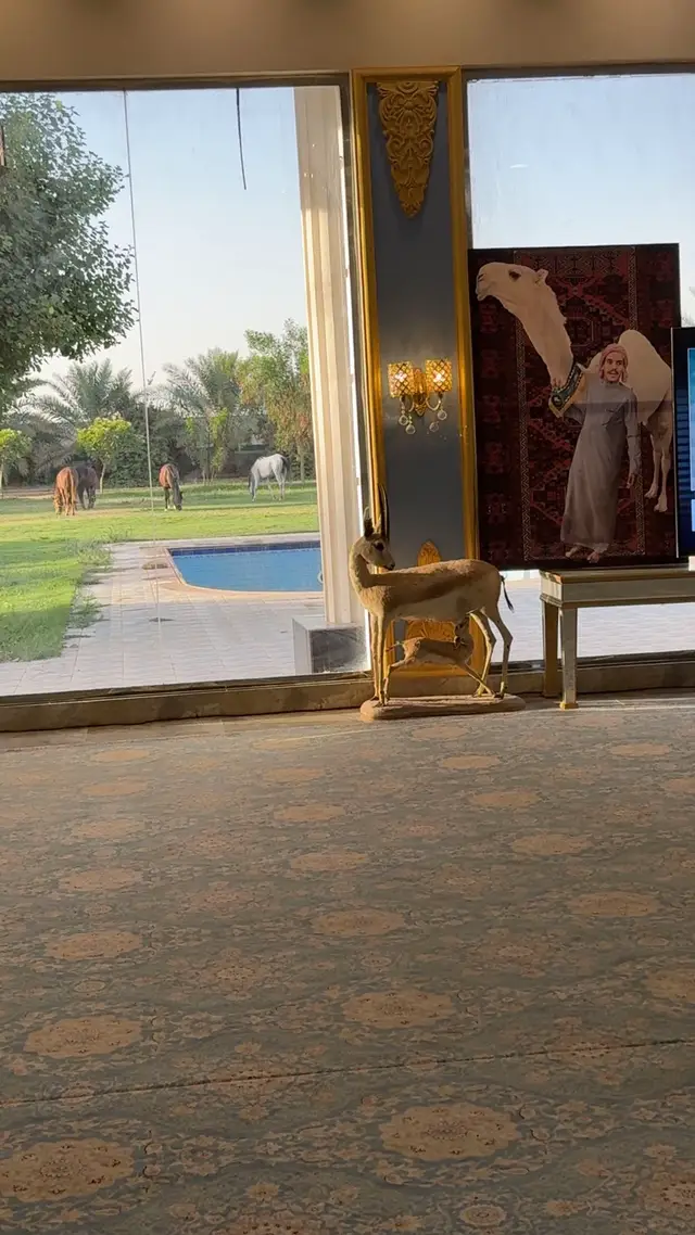 #fyp #الخرج #الرياض #اكسبلور 